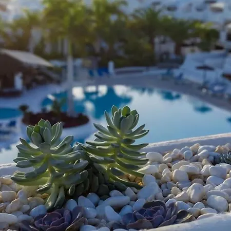 Lägenhet Paradise With Ocean View Playa Paraiso (Tenerife)